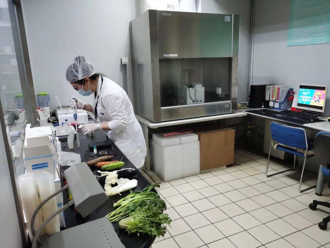 莱山食品检测实验室装修方案